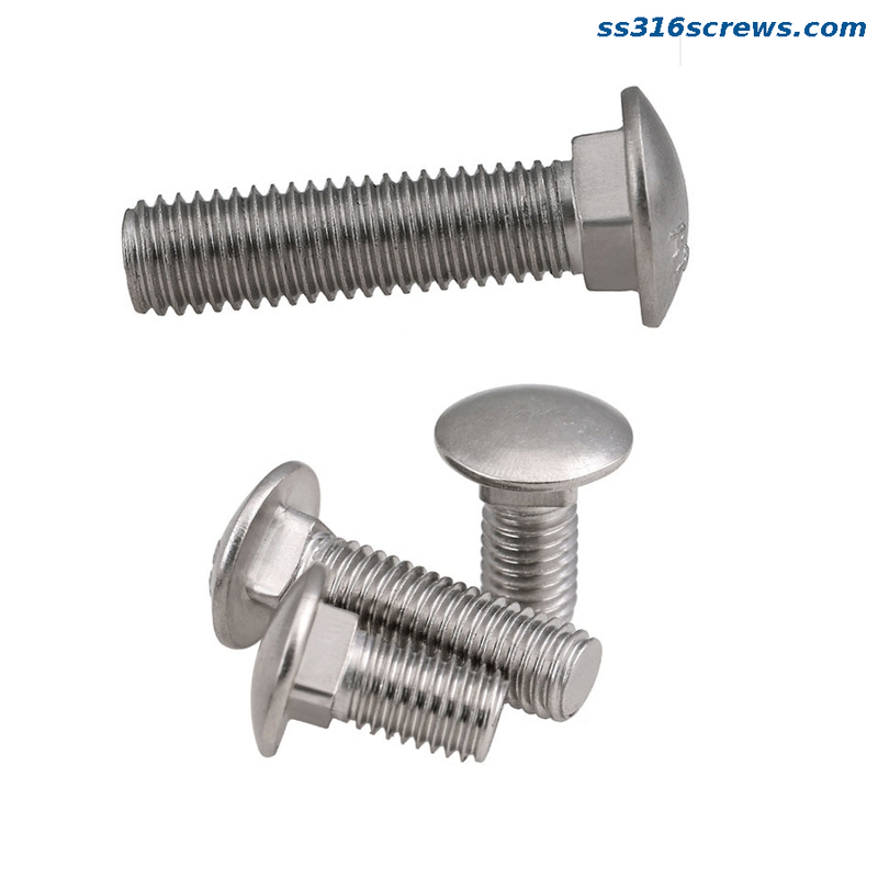 3/8 1/2 Square Neck Carriage Bolts, Stainless Steel 18-8 / 316