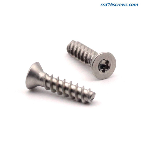Stainless 18-8 Flat Head Torx Thread-forming Plastite 48-2 Screws
