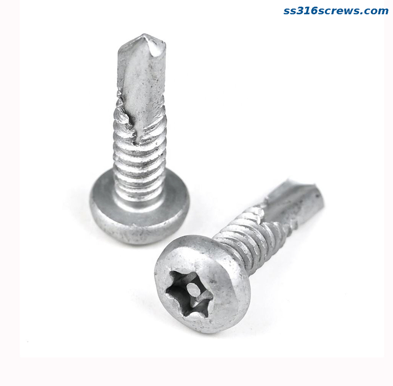 M8 Pin Torx Pan Head Self-drilling Security Screws 